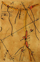 Eulota