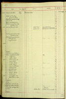 Conus geographus, 67340