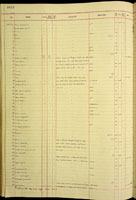 Amastra aemulator, 162311