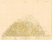 Tornatellina
