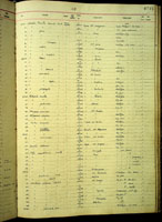 Strobilus brevis, 8710