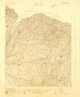 Nesopupa subcentralis, 210556