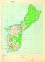 Partula gibba, 215320