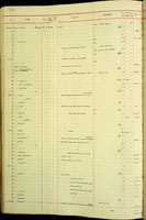 Amastra magna balteata, 74227
