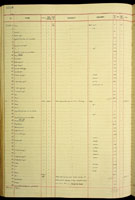 Pupoidopsis, 172811