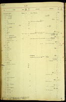 Tornatellides peponum, 21967