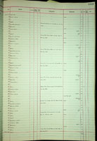 Opeas hannense, 181393