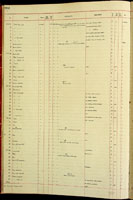 Amastra textilis, 90208
