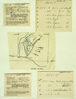 Leptopoma, 215348