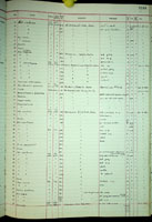 Macropalaima, 216873