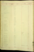 Amastra ventulus, 70939
