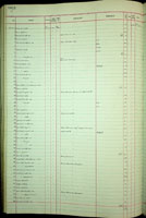 Amastra reticulata errans, 191217