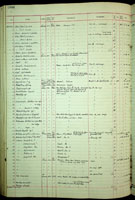 Diplomorpha bernieri, 189926