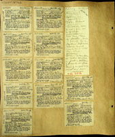 Sinployea clausa, 187705