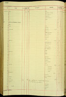 Strobilus turritus, 143248