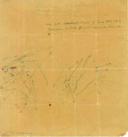 Philopoa singularis, 57263