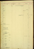 Leptachatina approximans, 16987
