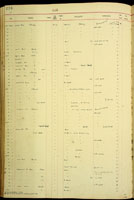 Amastra hutchinsoni, 25696