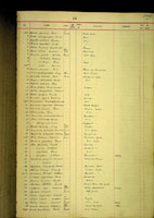 Partula simulans, 1411