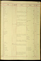 Amastra farcimen, 164363