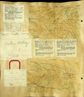 Tornatellides