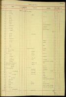 Charopa coma, 167491
