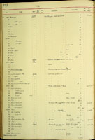Amastra undata, 19873