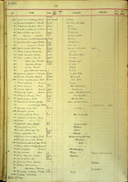 Strombus gibberulus, 5354