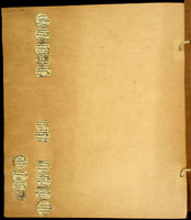 Leptachatina simplex, 14919