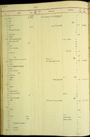Leptachatina costulata, 19399