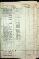 Mytilidae, 265032