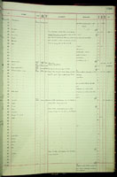Hawaiia, 119478