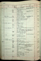 Cypraea histrio
