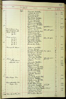 Murex clarus, 61862