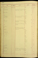 Achatinella apexfulva paalaensis, 122206