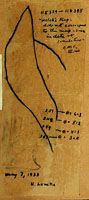 Achatinella pulcherrima