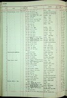 Terebra achates, 219631