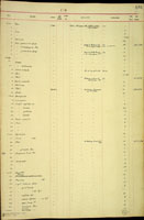 Endodonta, 17031