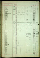 Diplomorpha, 206081