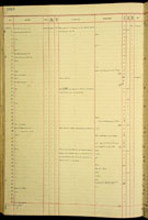 Achatinella bulimoides rotunda, 122730