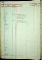 Leptachatina oryza, 211928