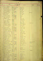 Cardium edule, 430