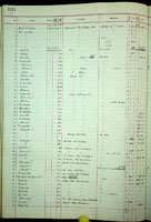 Rhytida, 217150