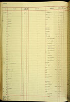 Brazieria, 153505