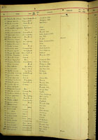 Natica maculosa, 371