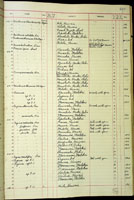 Peristernia thaanumi, 61657