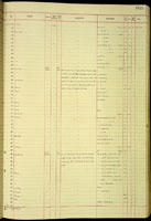Nesodiscus, 152366