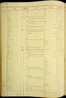Partula leefei, 175107