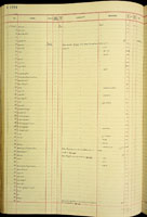 Amastra problematica, 176115