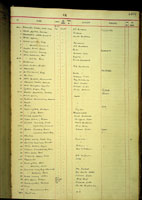 Partula regularis, 6147